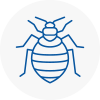 Bed Bug Extermination In Lowestoft