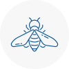 Bee Nest Removal Lowestoft