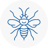Lowestoft Hornet Nest Removals