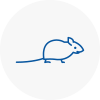 Mice Exterminators In Lowestoft
