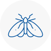 Moth Control Specialists In Lowestoft