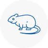 Rat Control Lowestoft