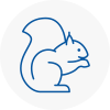 Lowestoft Rodent Removals
